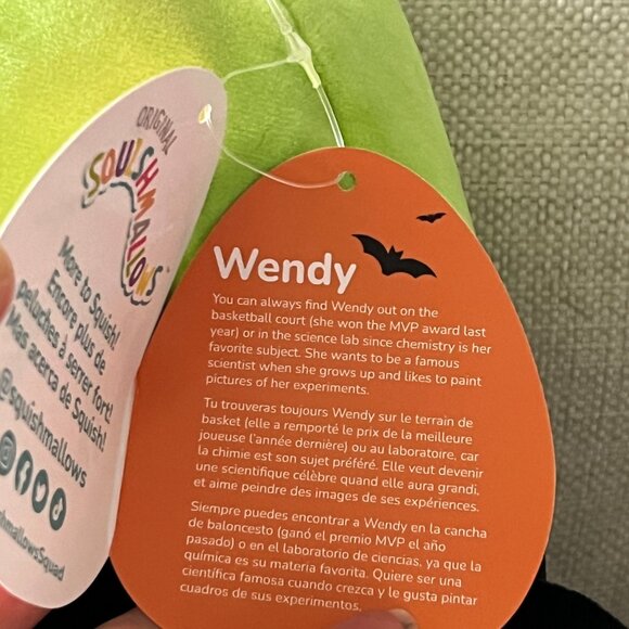 Squishmallows Treat Pail - Wendy The Frog Disguised as a Spider Discontinued 12" - Picture 5 of 7